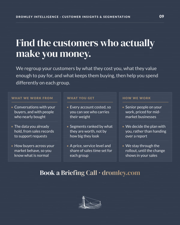 Dromley Intelligence: B2B customer segmentation that regroups customers by cost to serve, value and loyalty, then plans each